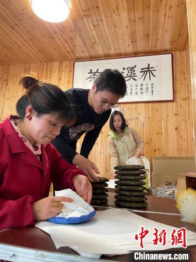 資料圖：杜贏(左二)在整理白茶餅?！×执阂?攝